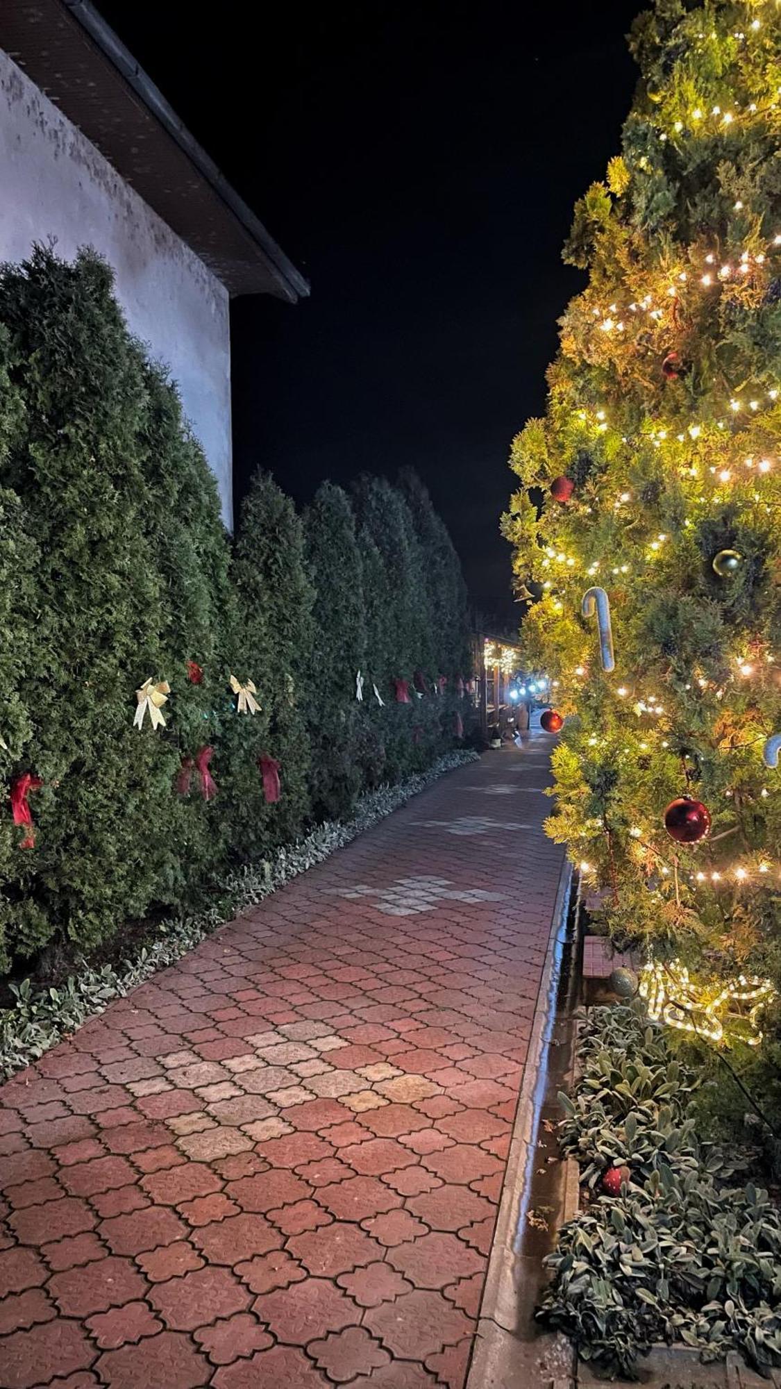 Eko Apartmani Backi Petrovac Luaran gambar
