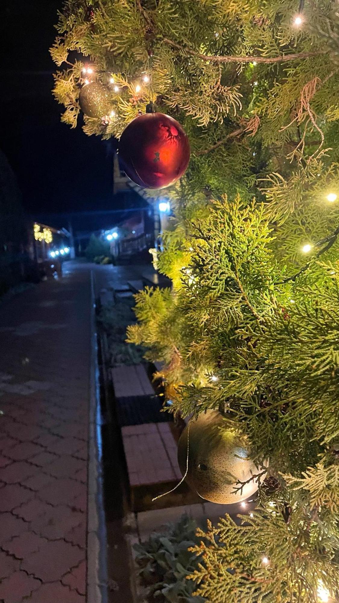 Eko Apartmani Backi Petrovac Luaran gambar