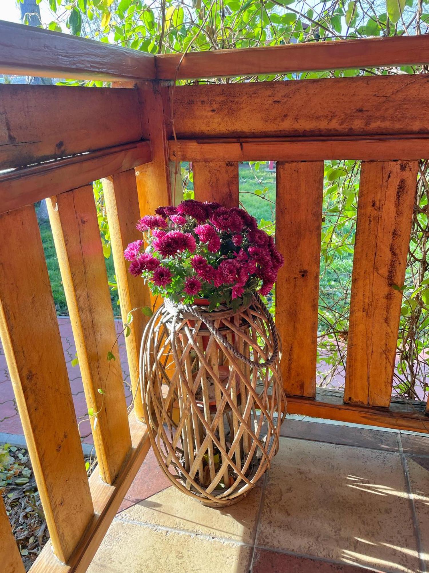 Eko Apartmani Backi Petrovac Luaran gambar